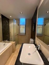 Residences @ Evelyn (D11), Condominium #534217261